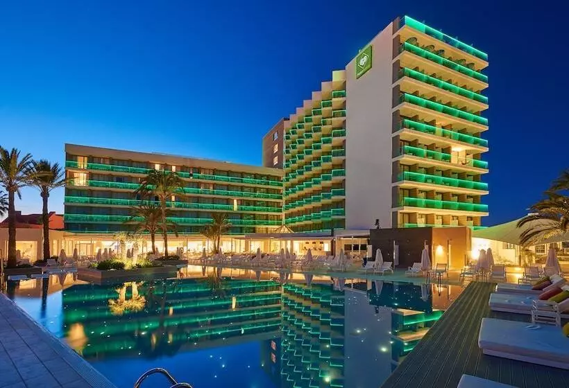 Fotos del hotel Protur Playa Cala Millor   Adults Only:  33