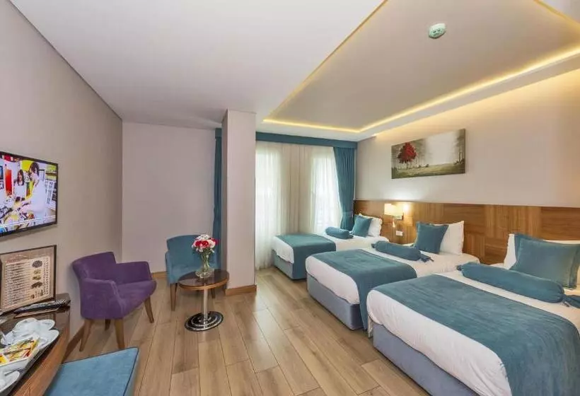 Fotos del hotel The Meretto  Istanbul Old City:  2