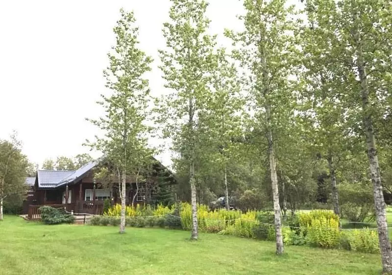 Fotos del hotel Blue Grove Guesthouse:  6