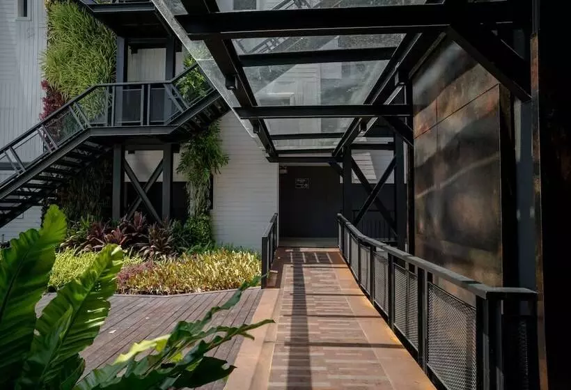 Fotos del hotel Dara:  20