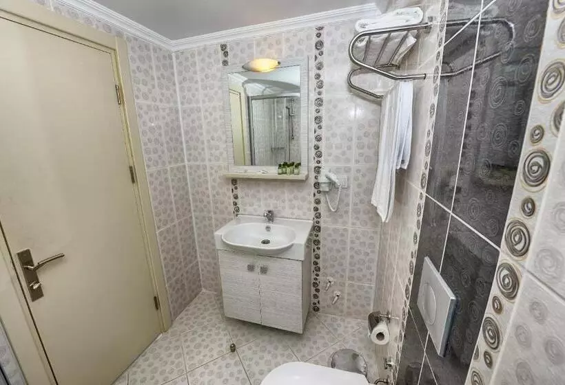 Fotos del hotel Florenta:  17