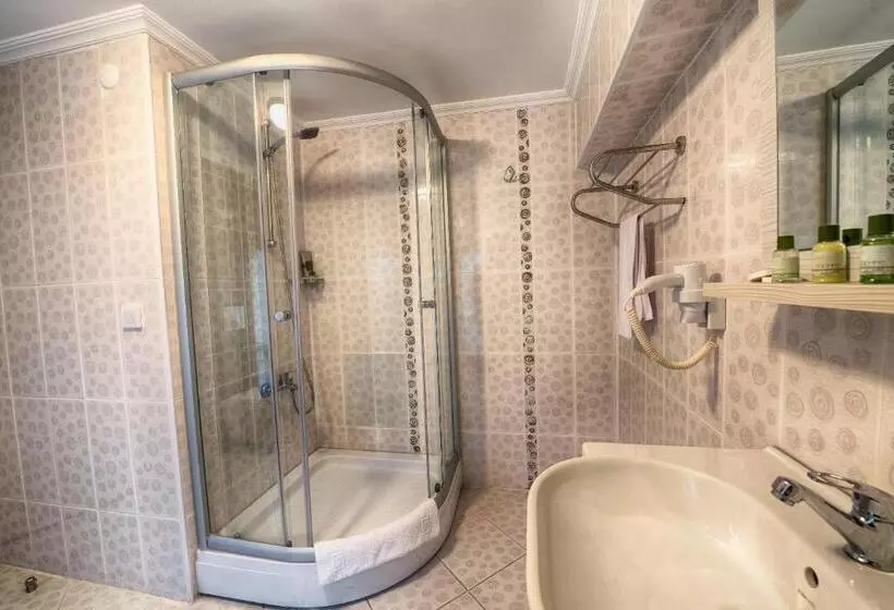 Fotos del hotel Florenta:  21