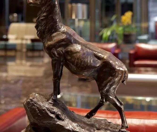 Fotos del hotel Alvear Art:  13