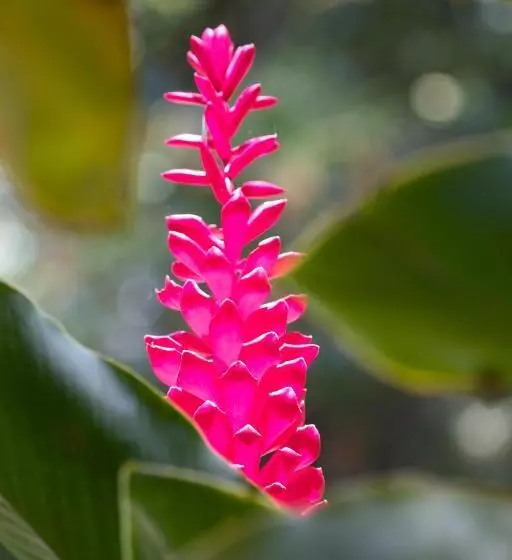 Fotos del hotel Da Fabio:  6