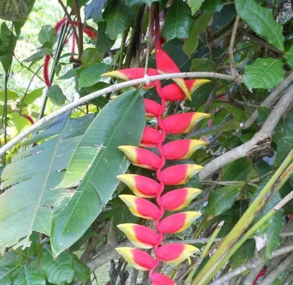 Fotos del hotel Da Fabio:  20