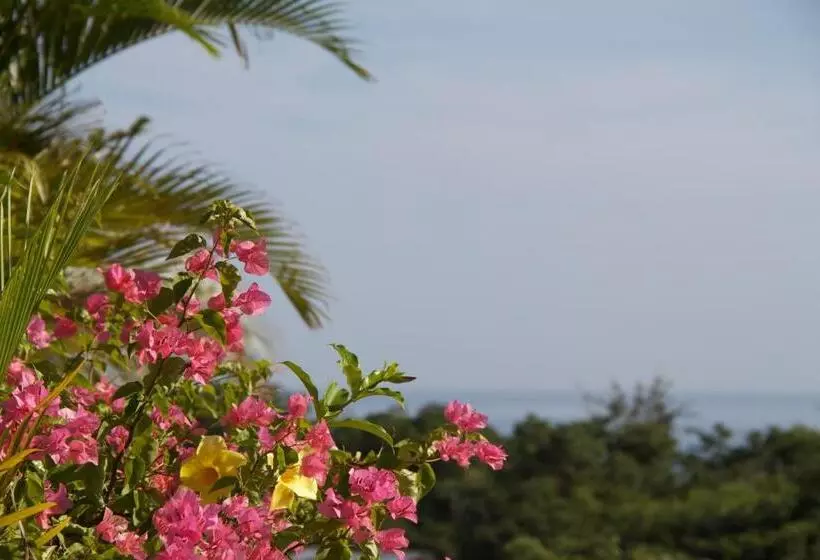 Fotos del hotel Da Fabio:  12