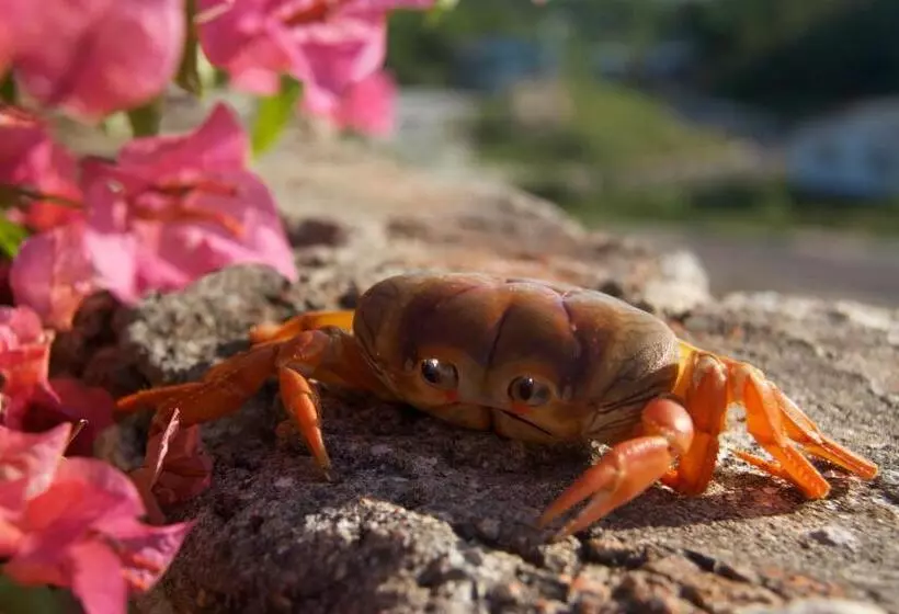 Fotos del hotel Da Fabio:  24