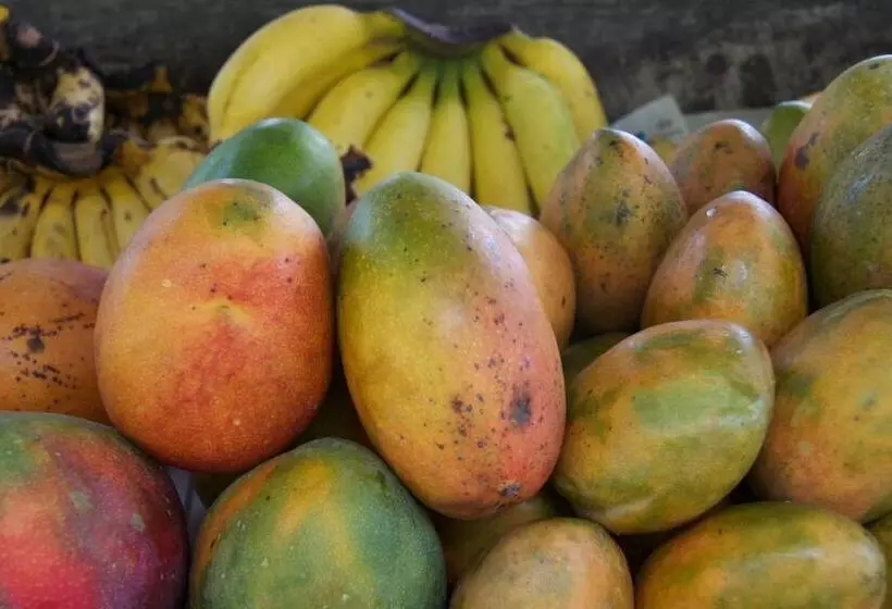 Fotos del hotel Da Fabio:  22