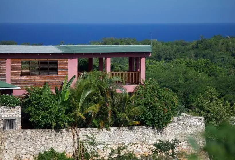 Fotos del hotel Da Fabio:  17