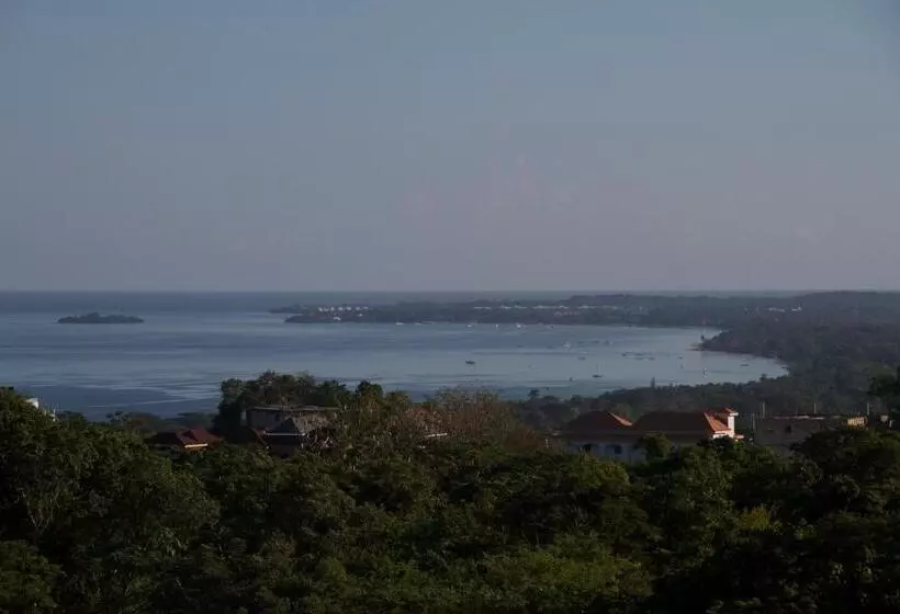 Fotos del hotel Da Fabio:  7