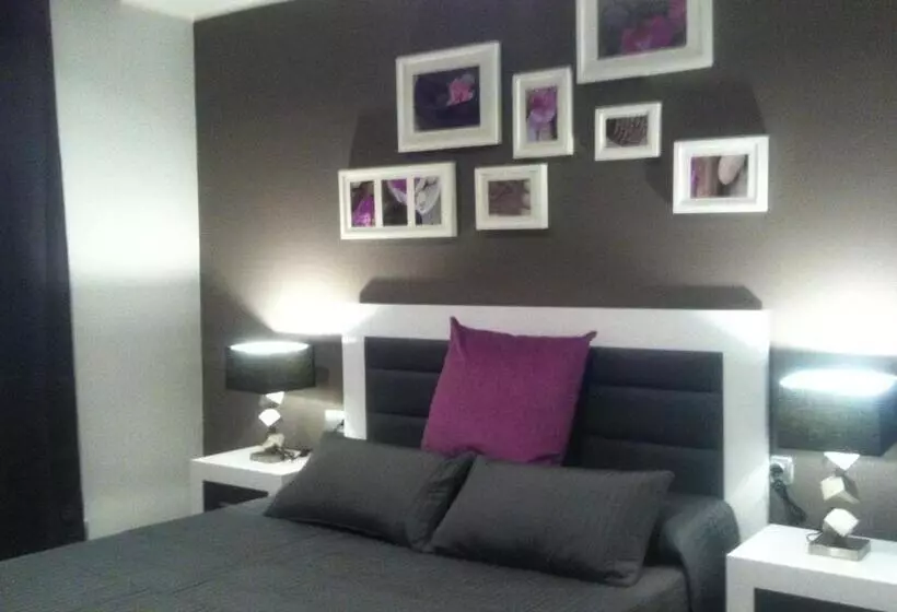 Fotos del hotel Petit Mirador:  11