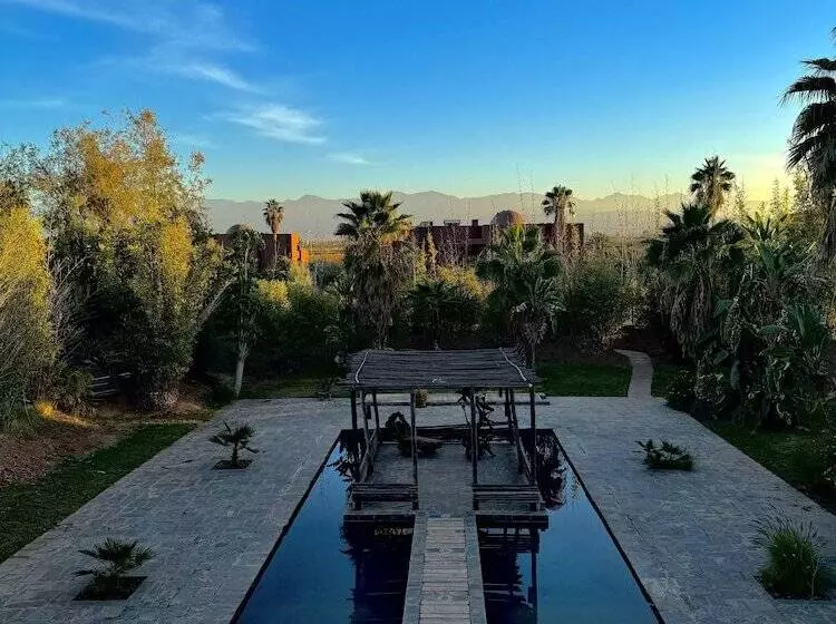 Fotos del hotel Fellah:  11