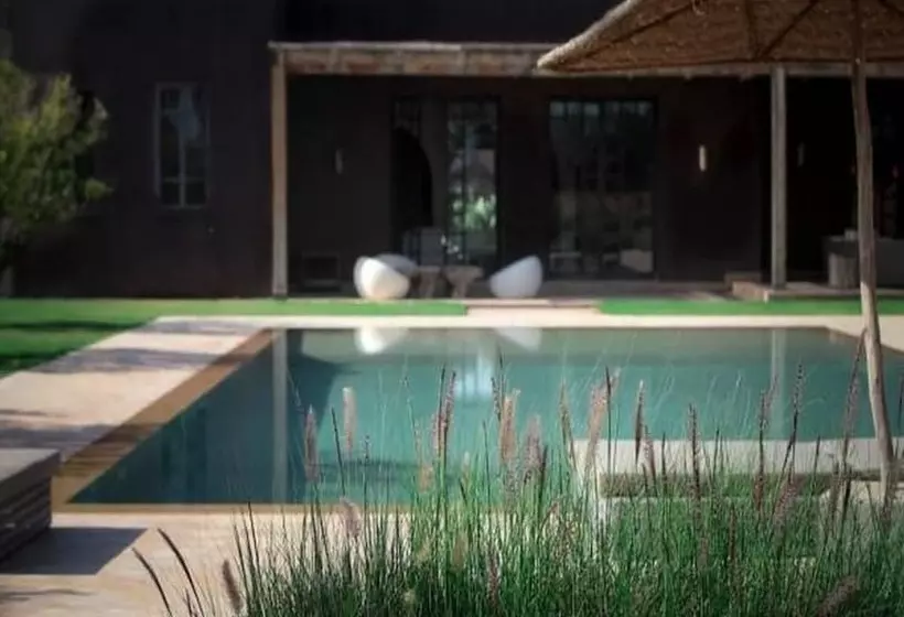 Fotos del hotel Fellah:  13