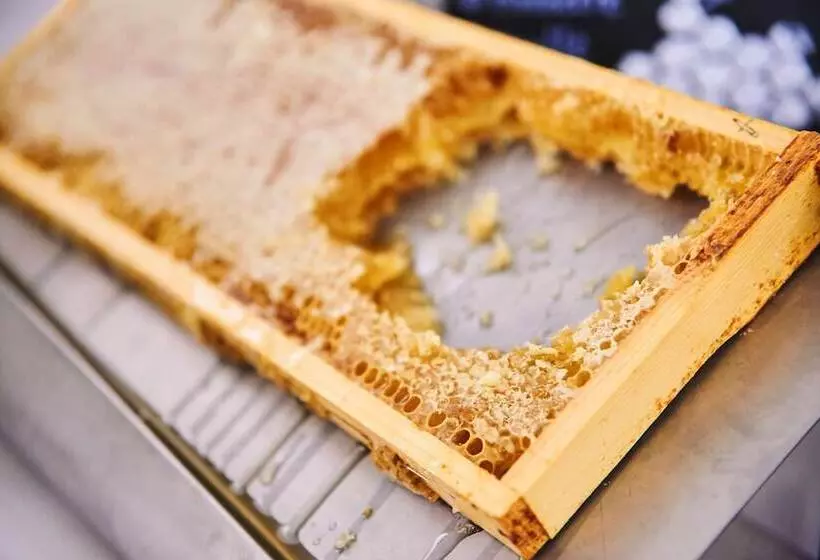 Fotos del hotel Maxx By Steigenberger Vienna:  8