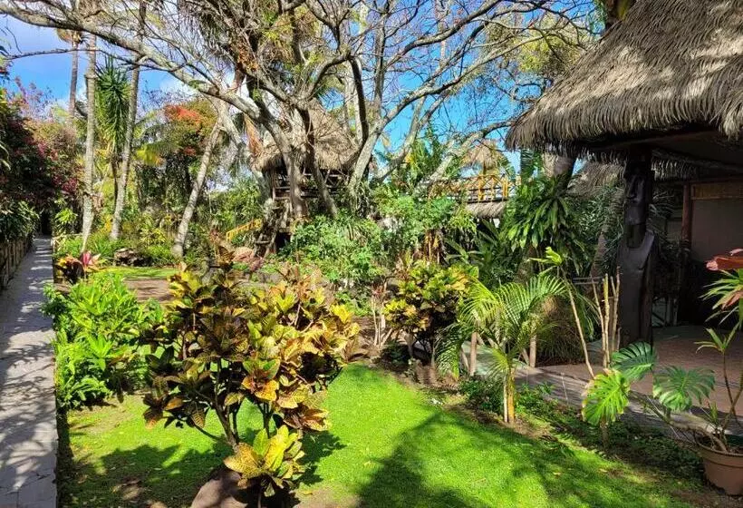 Fotos del hotel Manavai:  18