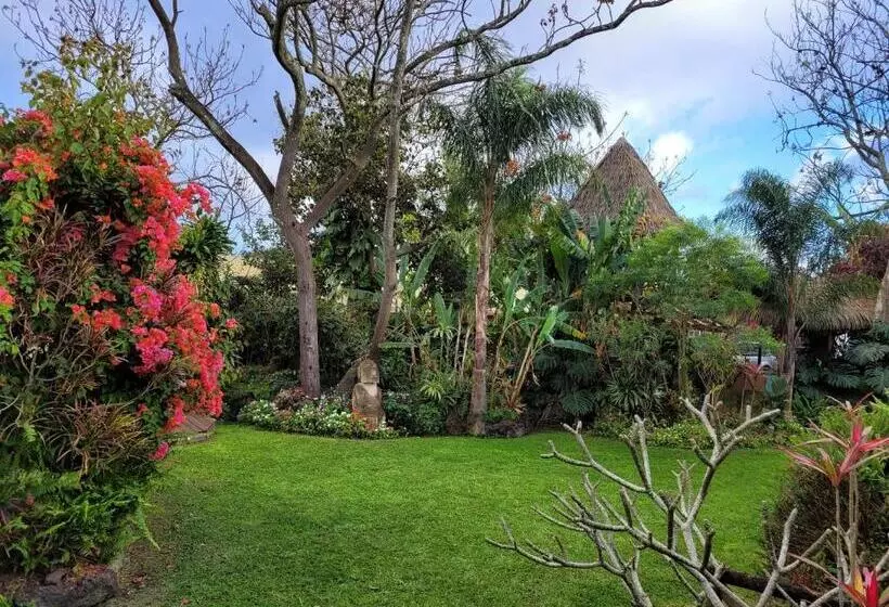 Fotos del hotel Manavai:  20