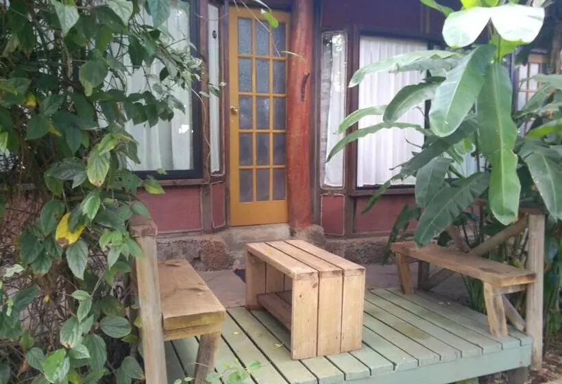 Fotos del hotel Manavai:  10