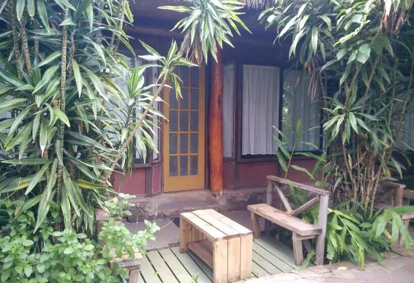 Fotos del hotel Manavai:  22