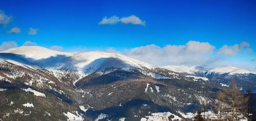 Fotos del hotel Ortners Eschenhof - Alpine Slowness:  7