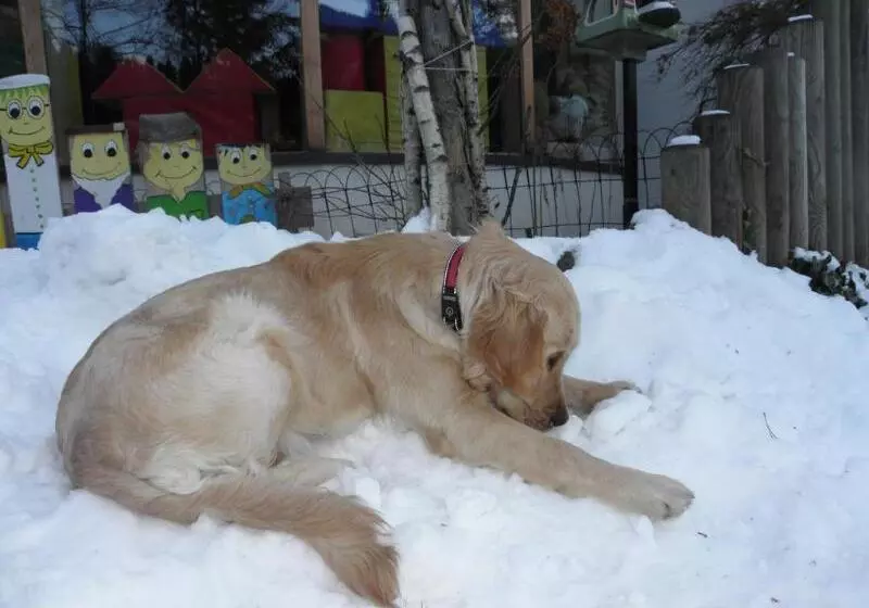 Fotos del hotel Ortners Eschenhof - Alpine Slowness:  6