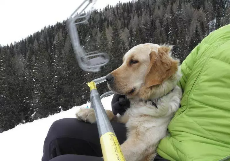 Fotos del hotel Ortners Eschenhof - Alpine Slowness:  21