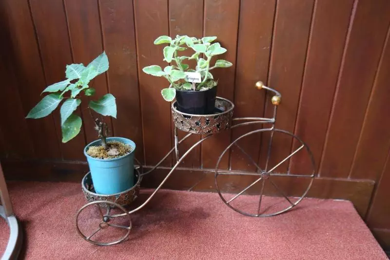 Fotos del hotel Casa Vallejo  Baguio:  6