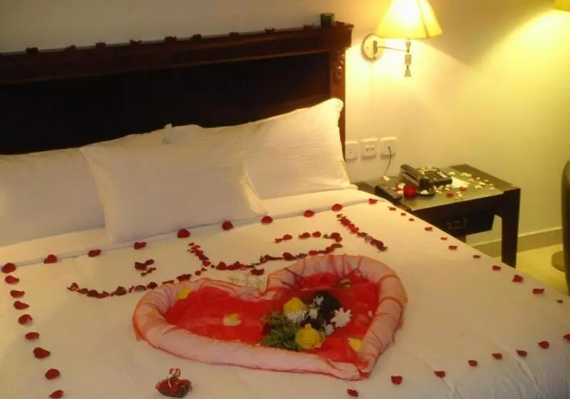 Fotos del hotel Jazan Inn:  20