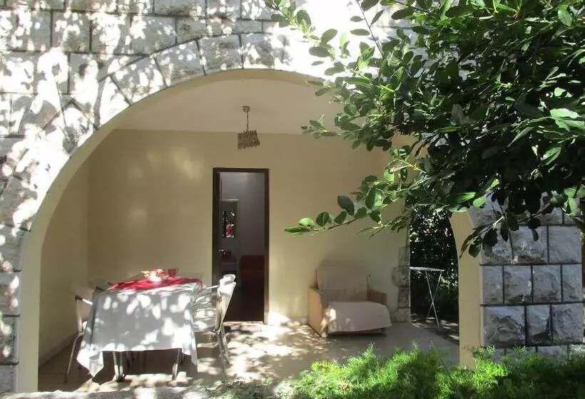 Fotos del hotel Apartments And Rooms Artemida:  22