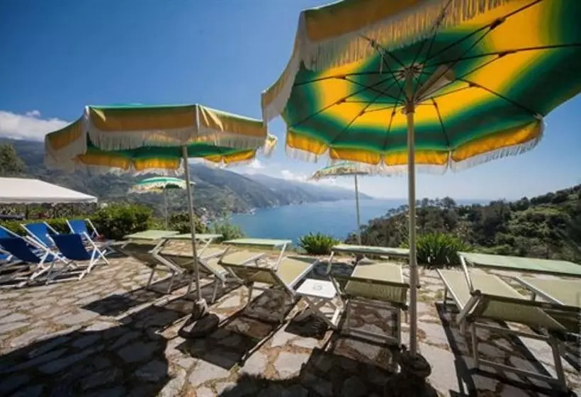 Fotos del hotel Albergo Suisse Bellevue:  10