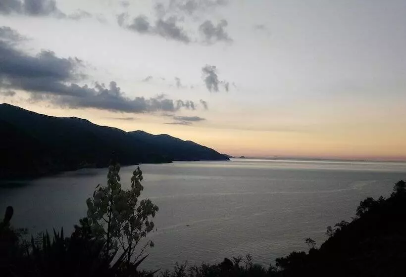 Fotos del hotel Albergo Suisse Bellevue:  8