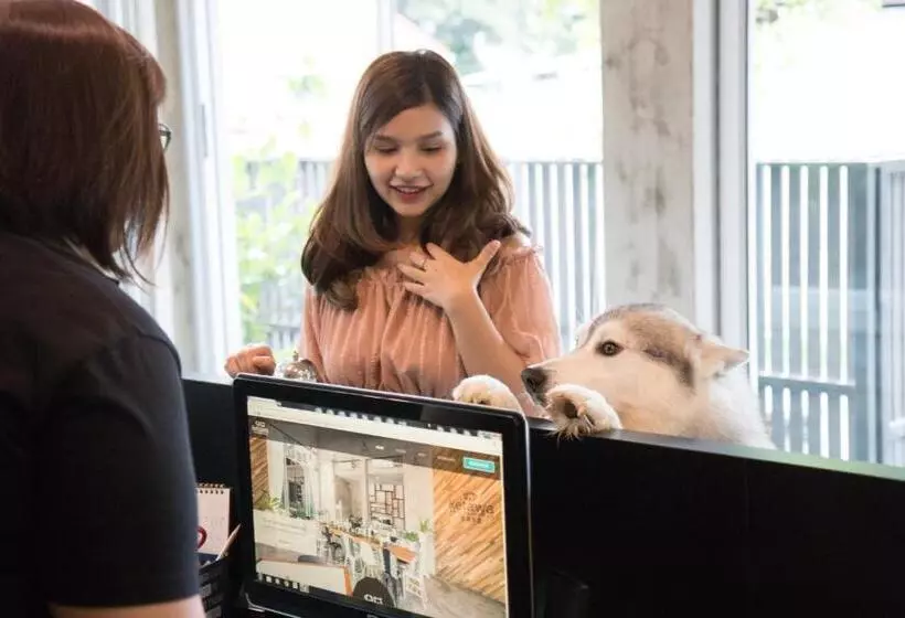 Fotos del hotel Ketawa Pet Friendly Hotel:  7