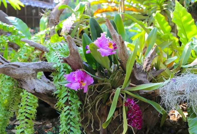 Fotos del hotel Oriental Siam Resort:  8