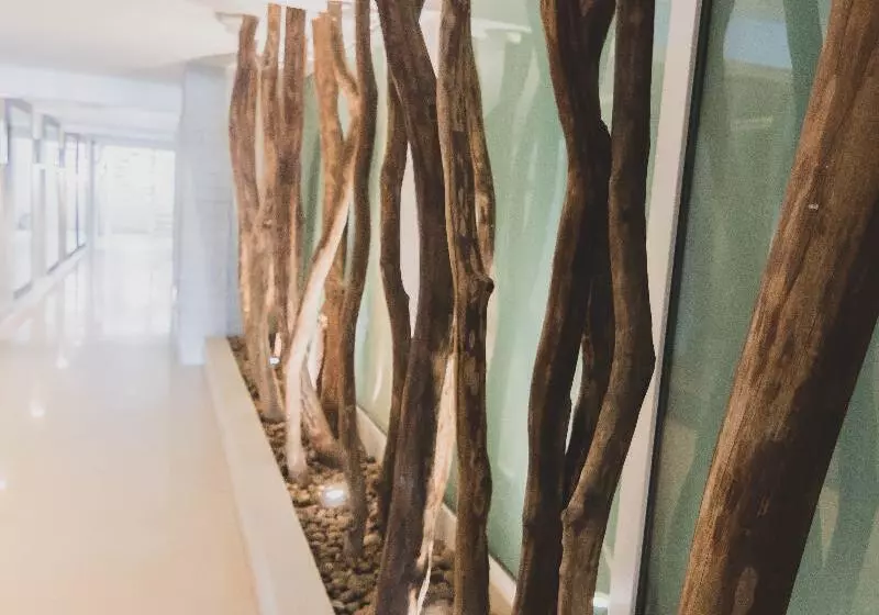 Fotos del hotel Santa Cecilia B&B:  9