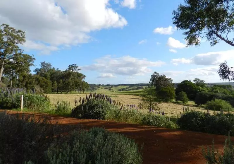 Fotos del hotel Shambhala Guesthouse:  7