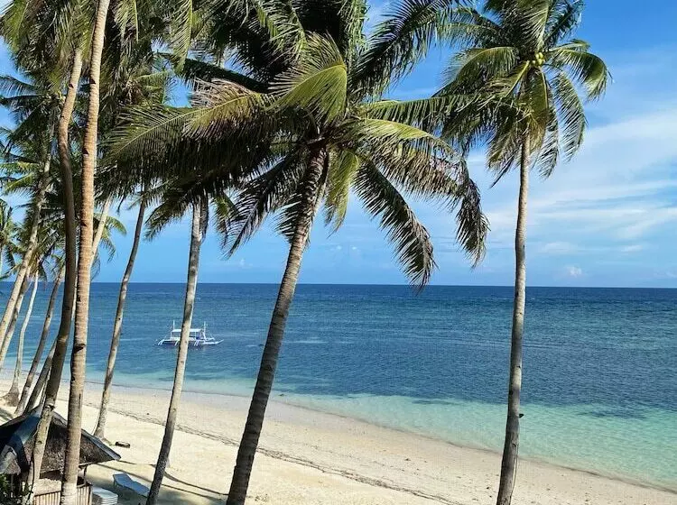 Fotos del hotel Anda White Beach Resort:  6