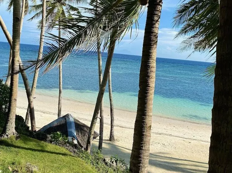 Fotos del hotel Anda White Beach Resort:  15