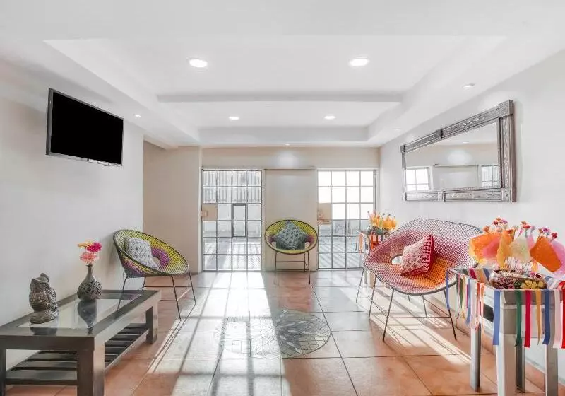 Fotos del hotel Capital O El Andariego:  8