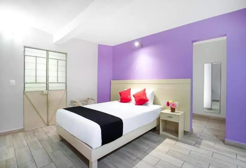 Fotos del hotel Capital O El Andariego:  20