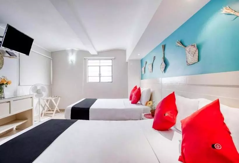 Fotos del hotel Capital O El Andariego:  18