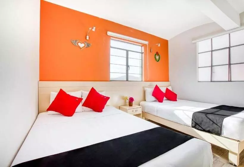 Fotos del hotel Capital O El Andariego:  7