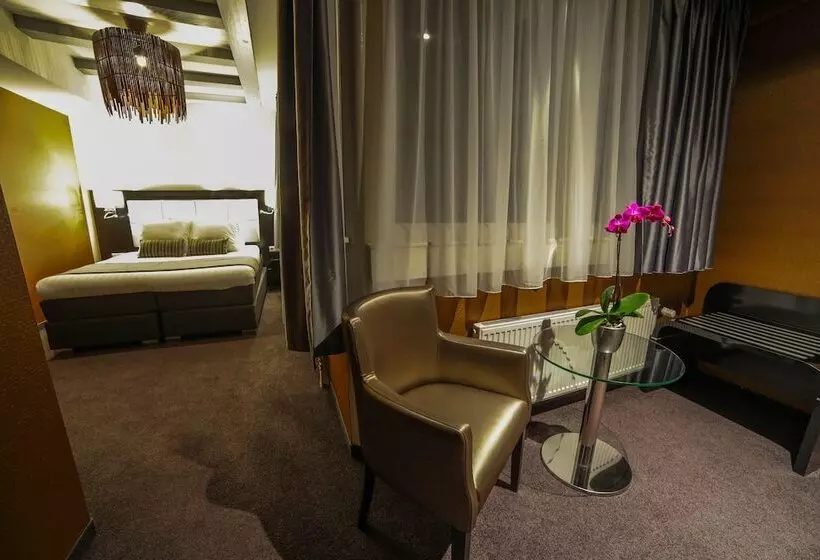 Fotos del hotel Mansion:  15