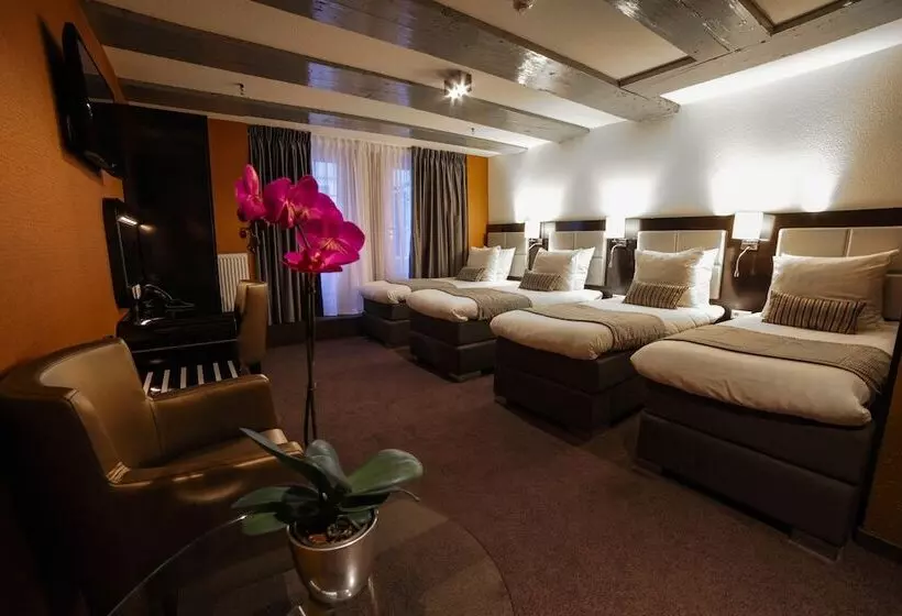 Fotos del hotel Mansion:  21