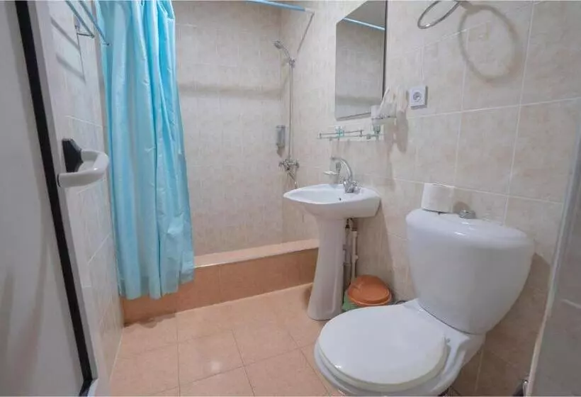 Fotos del hotel Rovshan Hotel Tashkent:  7