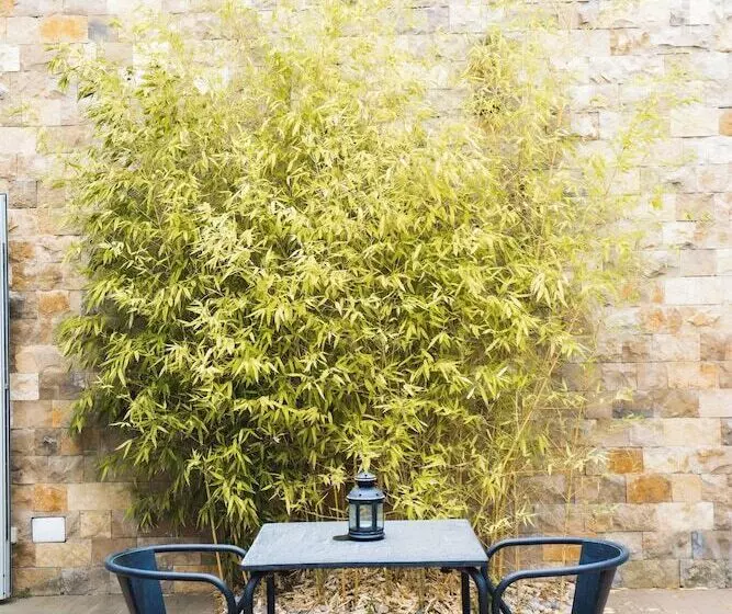 Fotos del hotel Exe Vila D'Óbidos:  6