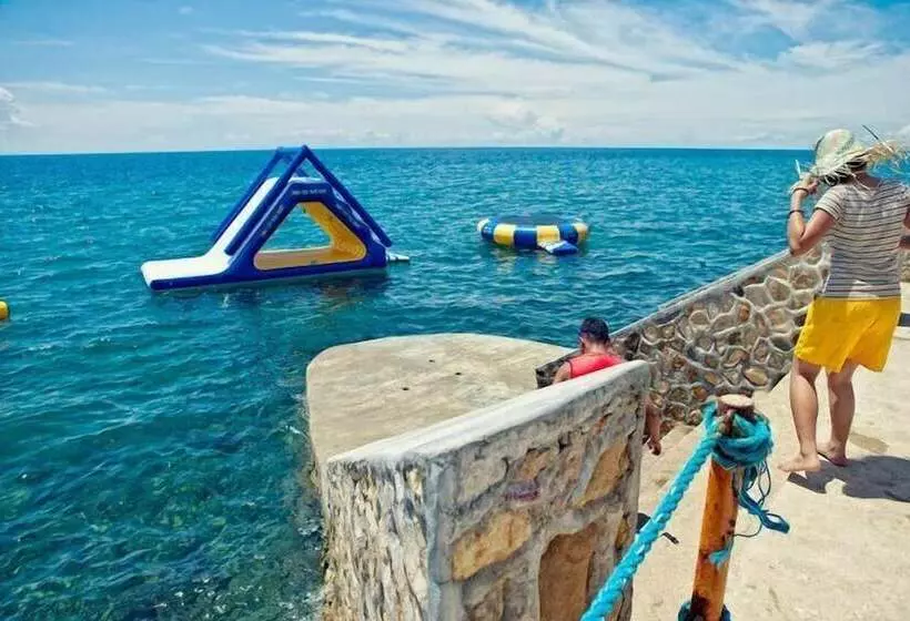 Fotos del hotel Danao Coco Palms Resort:  2