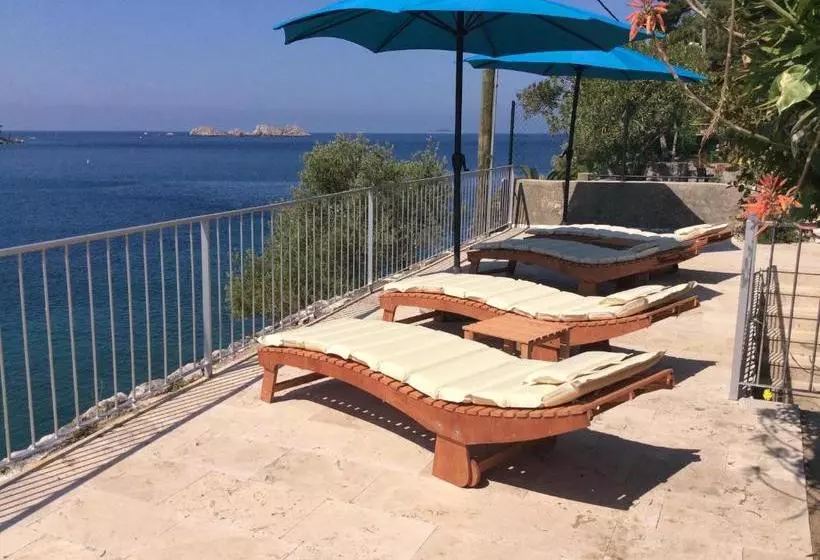 Fotos del hotel Dubrovnik Apartments   Studio:  7