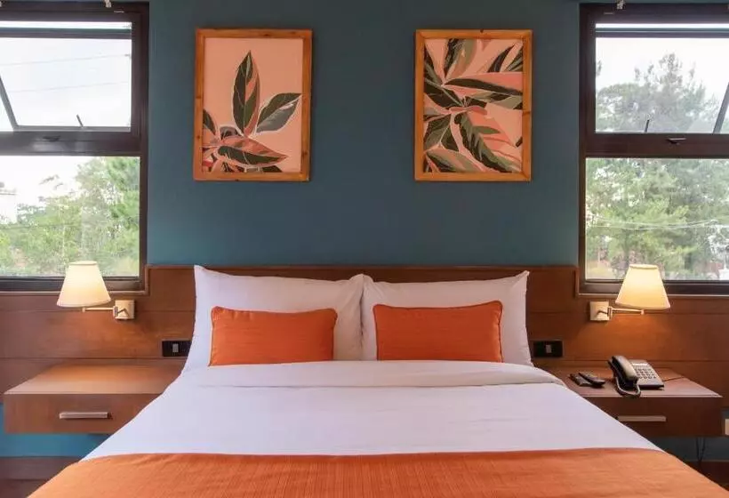 Fotos del hotel C Boutique:  8