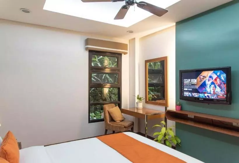 Fotos del hotel C Boutique:  24