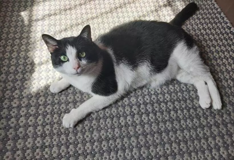 Fotos del hotel La Passeggiata:  8