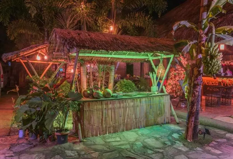 Fotos del hotel Acacia Tree Garden:  4